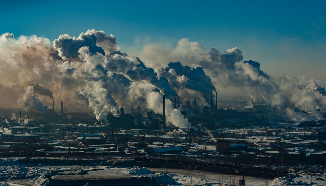 La problemática ambiental y los retos futuros: Declaratoria del Encuentro de Redes Temáticas CONACYT